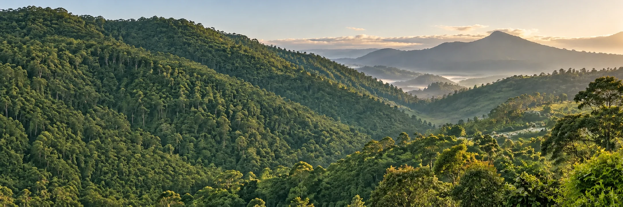 Green highland landscape