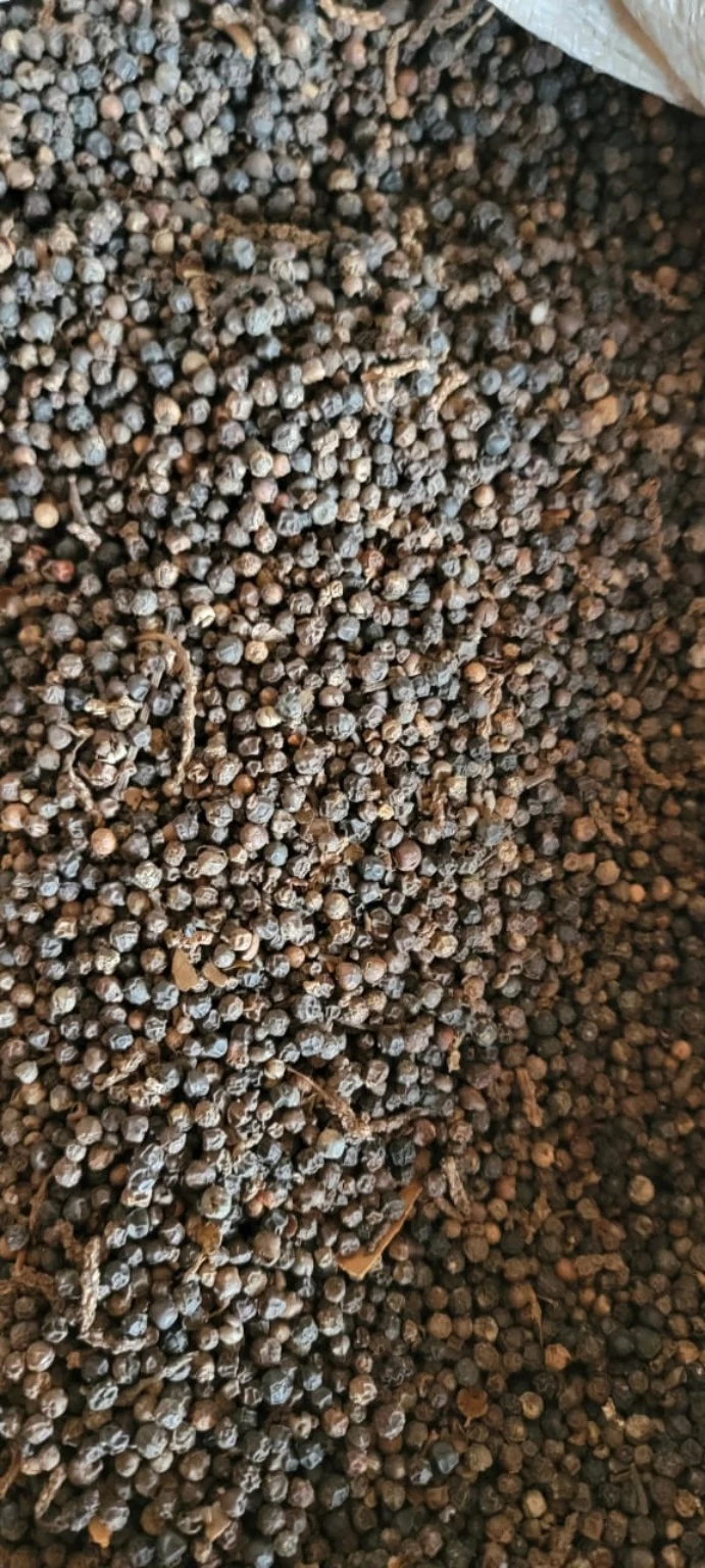 Black pepper