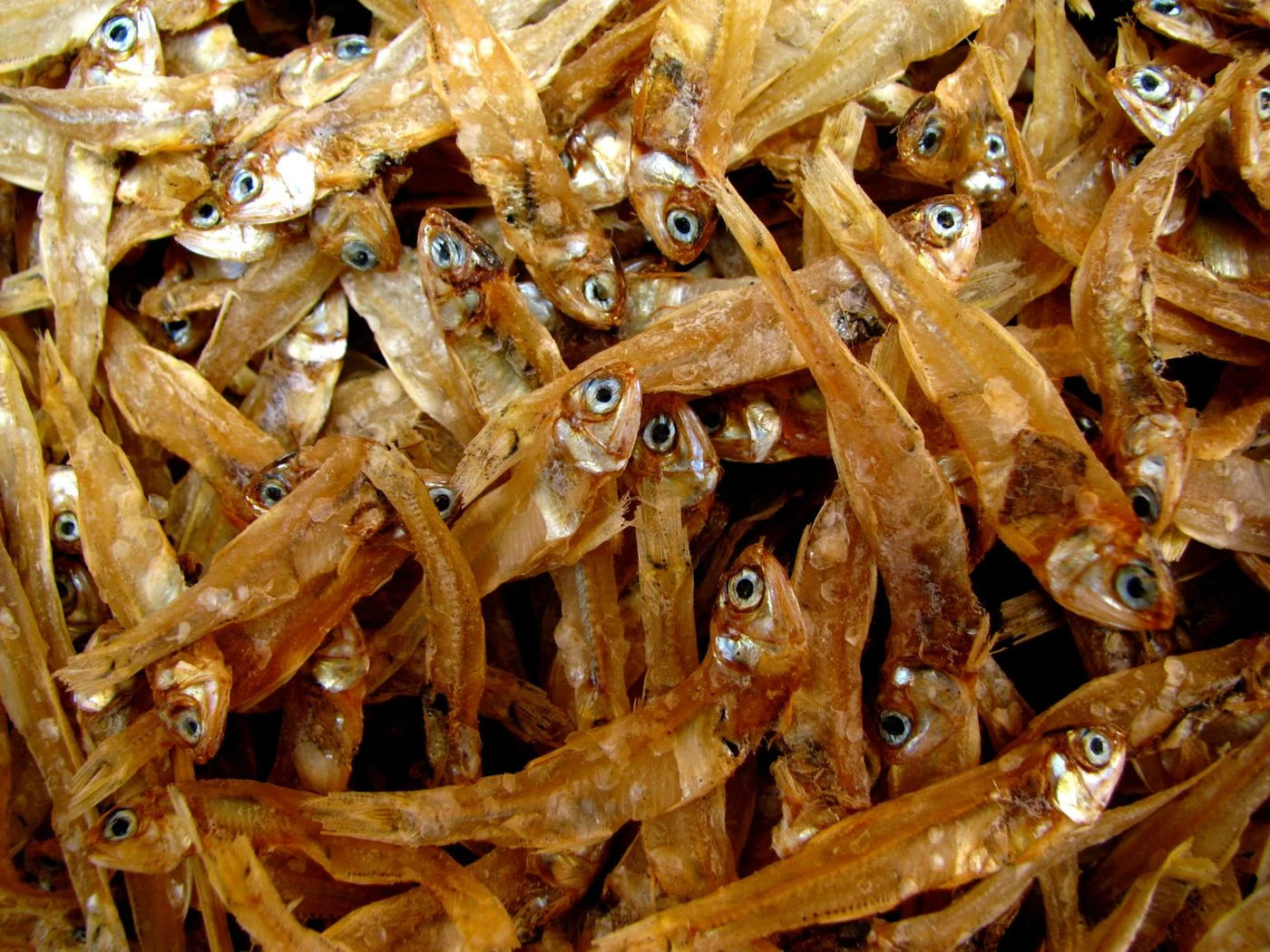 Dried small fish