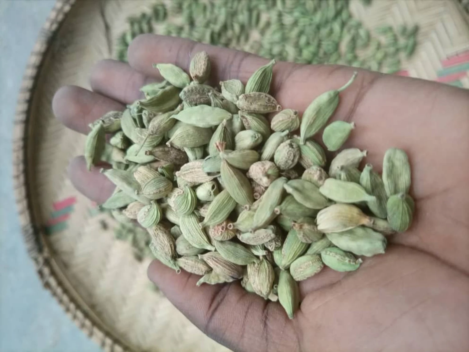Dried green cardamom